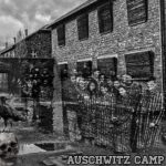 بابی – Auschwitz